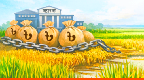 কৃষিতে অর্থায়ন: কৃষিঋণে আগ্রহ কম ব্যাংকগুলোর
