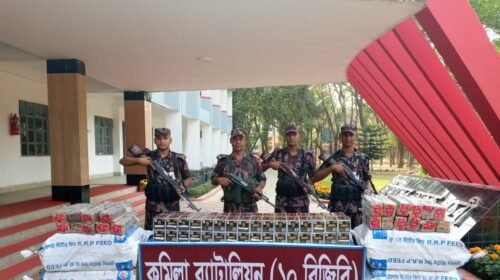 কুমিল্লায় বিজিবির অভিযানে সীমান্তে কোটি টাকার ভারতীয় মোবাইল ফোনের ডিসপ্লে জব্দ